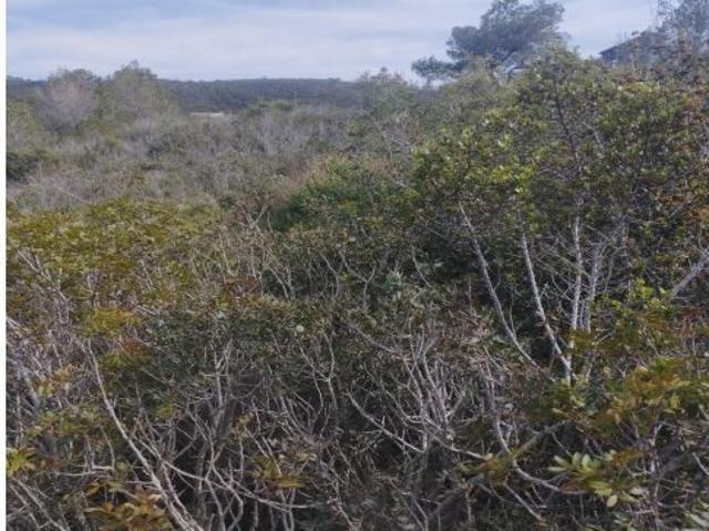 GRAN PARCELA EN VENTA EN CAN GORDEY