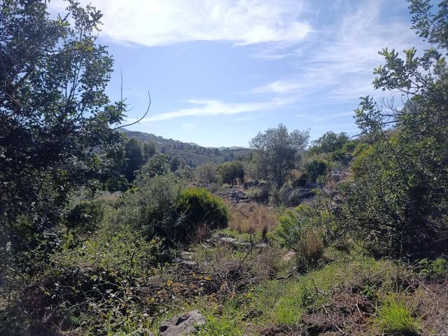 Gran parcela en venta en Monte Pego: inversión, espacio y proyección
