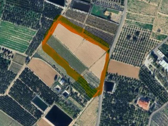Gran parcela rústica con posibilidad de construir vivienda unifamiliar con piscina en el campo de Guardamar del Segura, Alicante