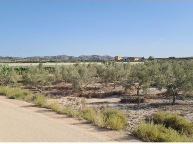 Gran Parcela Rústica de Más de 20.000 m² en Monforte del Cid