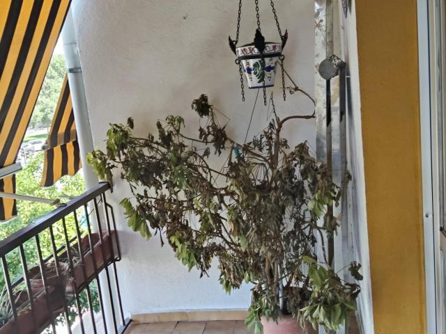 Gran Piso en Miralbaida, Córdoba 149.500€