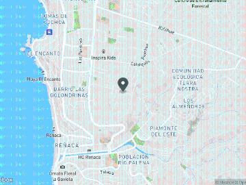 Gran propiedad en Los Pinos Reñaca con dos casas y 3800 m2 terreno