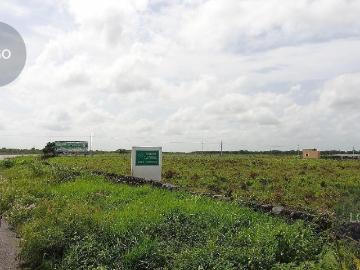 GRAN RANCHO EN VENTA EN BUCTZOTZ