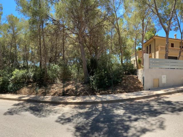 Gran solar en la fantástica zona de Sol de Mallorca