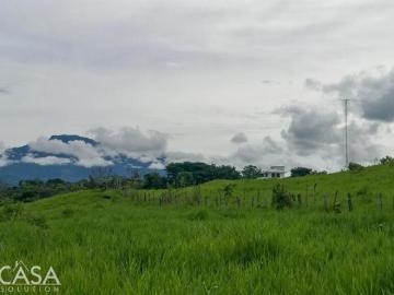 Gran Terreno de 18 Ha en Venta en Bocalatún, Chiriquí