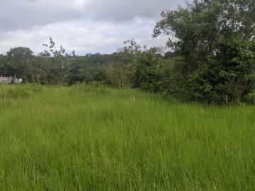 Gran terreno en el pueblo de playa Las Lajas