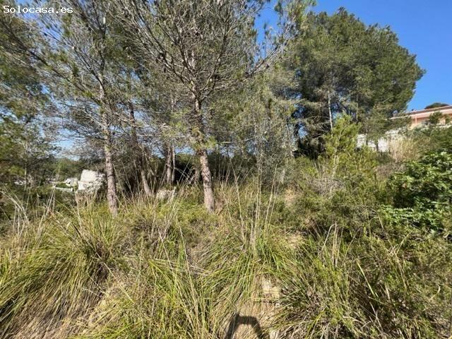 GRAN TERRENO EN VENTA EN LA ZONA DE VORA SITGES, CANYELLES