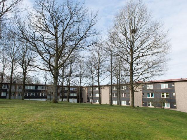 Grangården 33