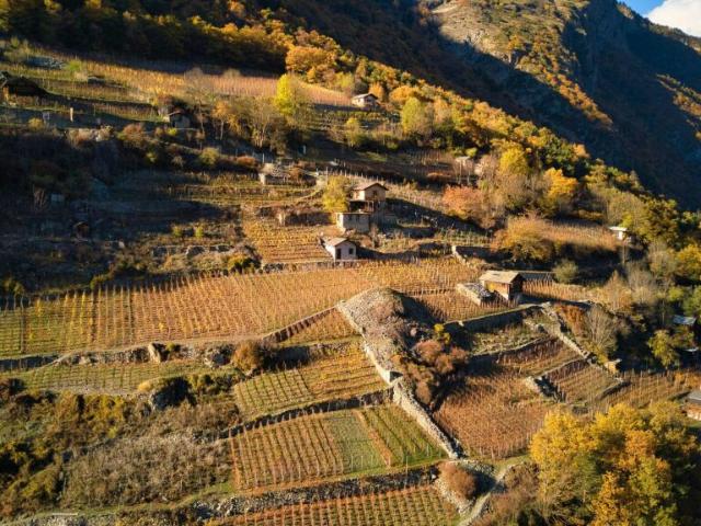 Grange avec jardin à vendre au coeur de Fully