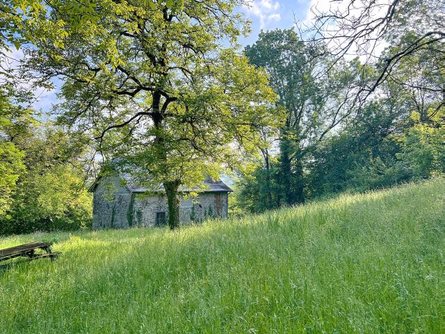 Grange en Pierre sur 3 ha de Bois