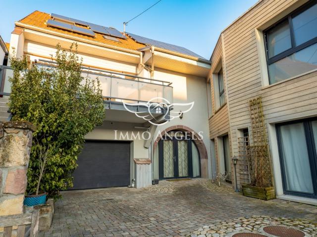 Grange rénovée esprit loft avec local pro & grande terrasse 224m² Sierentz