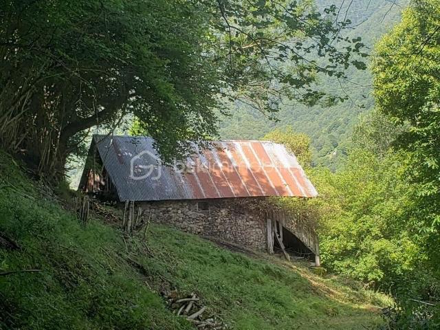 Grange rustique en pleine montagne