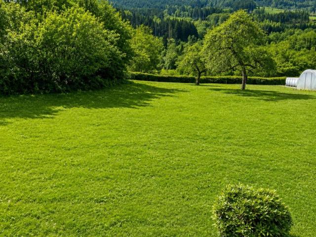 Granges sur Vologne Vente Terrain 88
