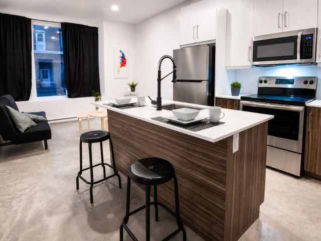 Grand 3 1/2 Style Loft Tout Inclus