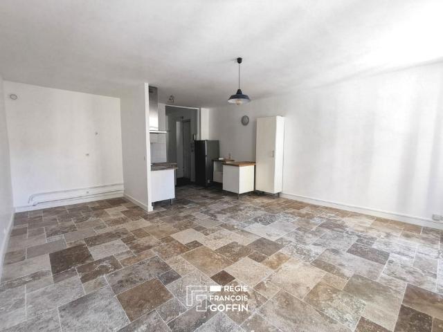 GRAND T1 LUMINEUX DE 43.82 M2 QUARTIER GUILLOTIERE
