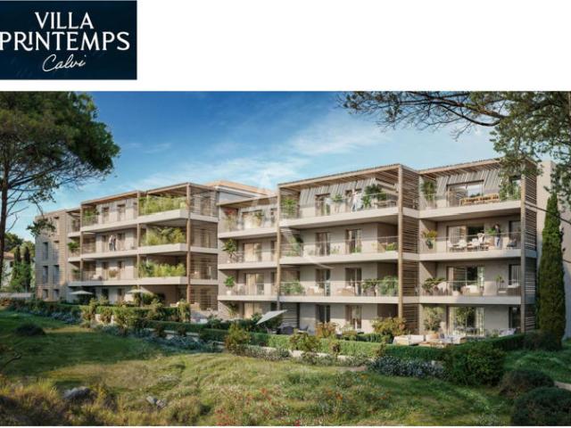 GRAND T2 NEUF BAIE DE CALVI