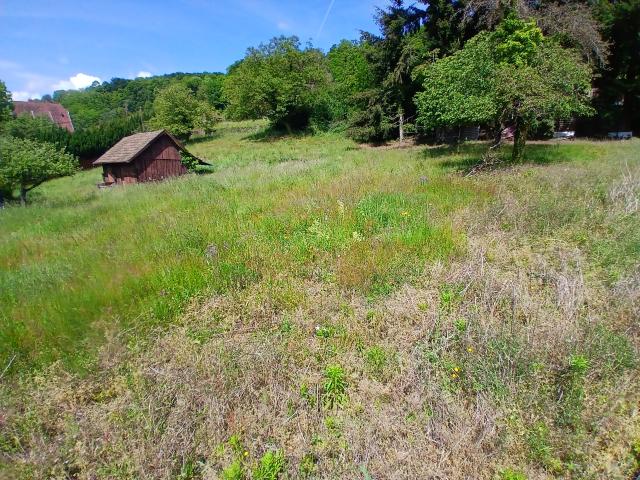GRAND TERRAIN CONSTRUCTIBLE
