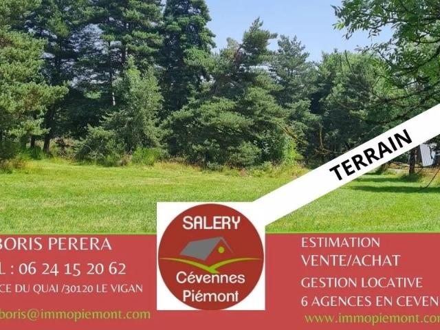 Grand terrain constructible