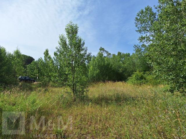 Grand Terrain Constructible