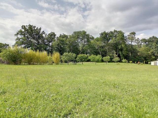 Grand terrain constructible viabilisé
