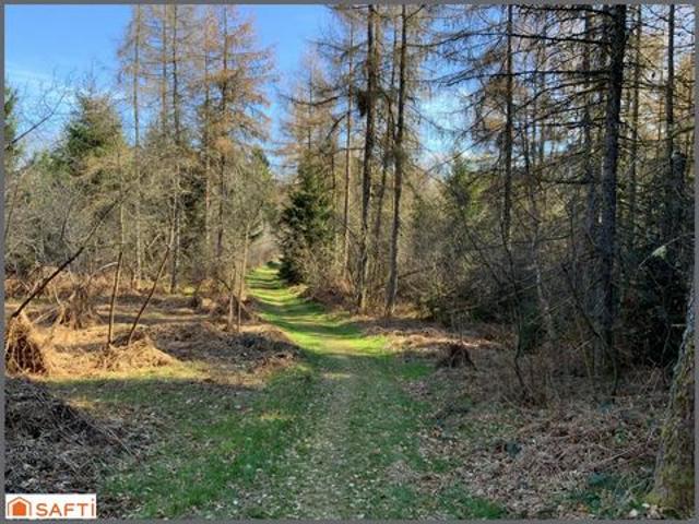 Grand terrain de loisirs de 1,5 Hectares, accès facile, proche village