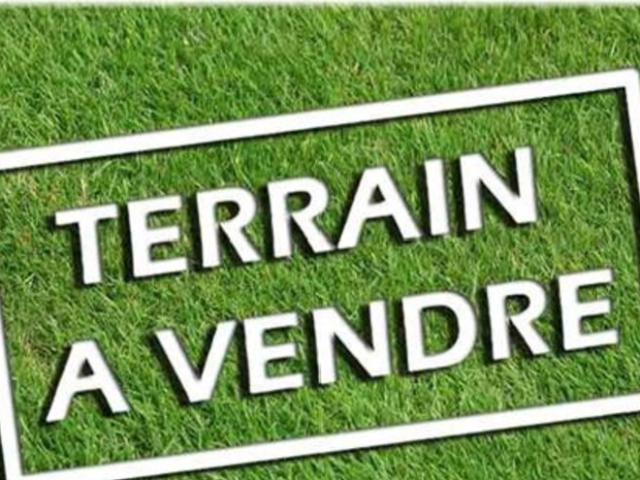 Grand terrain de loisirs de 4 500 m² – Maillé 37 – Nature et tranquilité