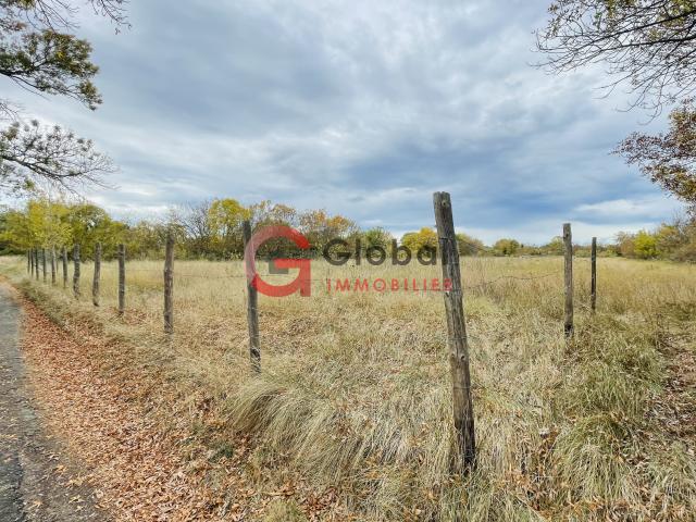 Grand terrain de 19270m2 avec Jade RUIZ