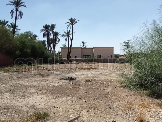 Grand Terrain de 1979 M 2 pour villa à la palmerai