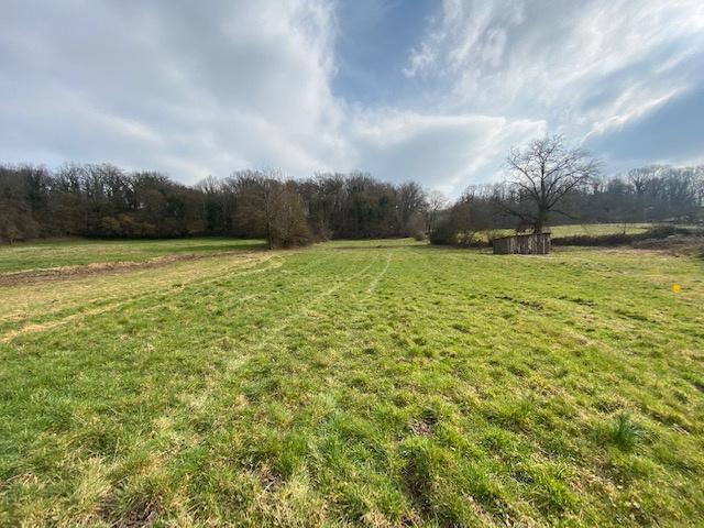 Grand terrain de 3872 M2 avec partie constructible et partie non constructible