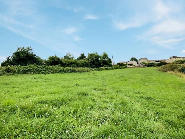 Grand Terrain de 3067 m2