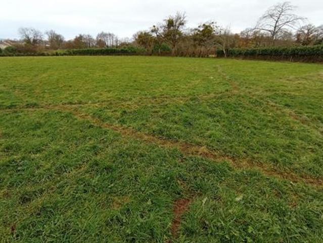 Grand terrain plat constructible