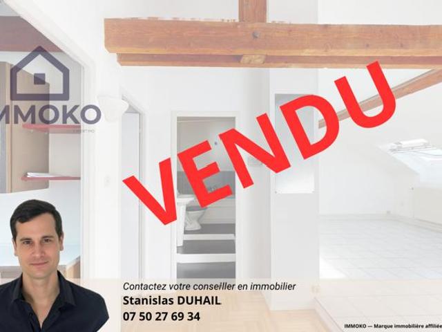 Grand appartement T2/3 lumineux et spacieux