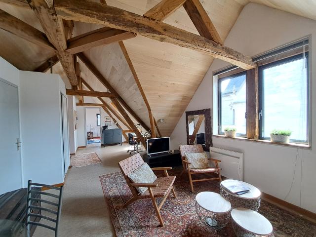 Grand Appartement T2 meublée TROYES HYPER CENTRE