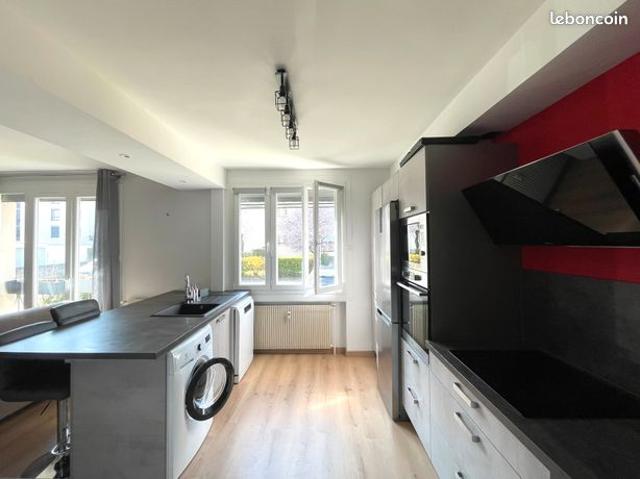 Grand appartement T2 rénové de 52 m² avec cave LYON 8ᵉ