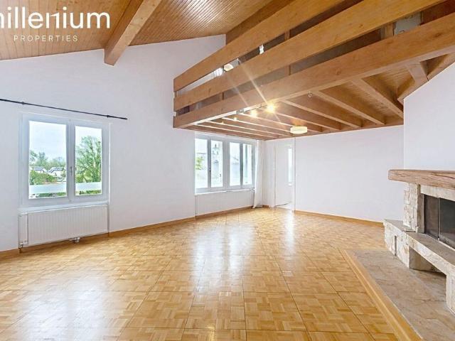 Grand appartement avec mezzanine à Mies