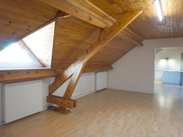 Grand Appartement centre ville