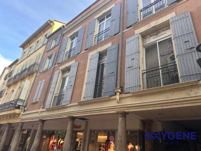 Grand Appartement Centre ville