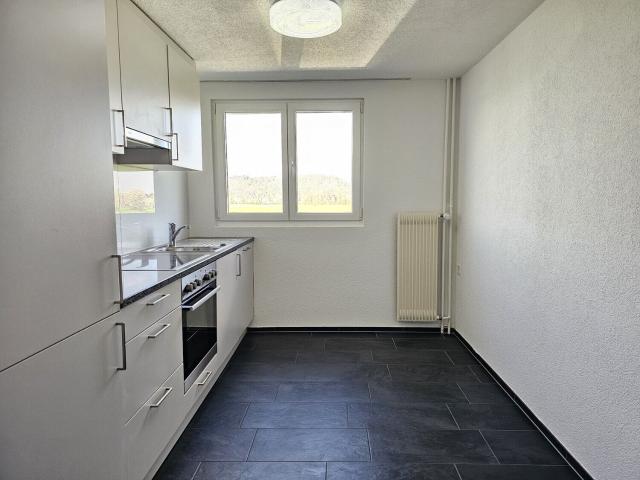 Grand appartement de 4,5 pièces à longueur parfaite | dreamo. Ch
