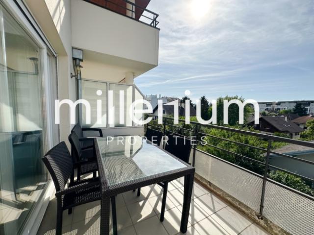 Grand appartement duplex moderne FRANCE