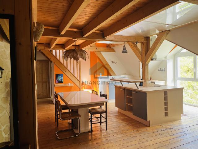 GRAND APPARTEMENT EN DUPLEX FRONTIERE SUISSE