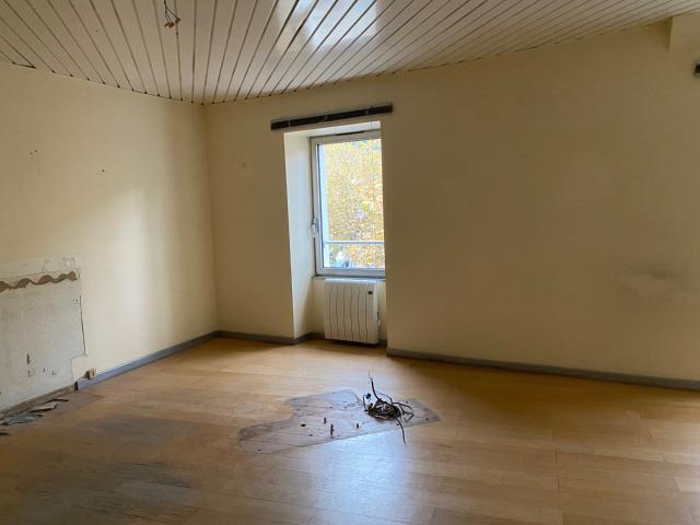 GRAND APPARTEMENT OU LOCAL PROFESSIONNEL
