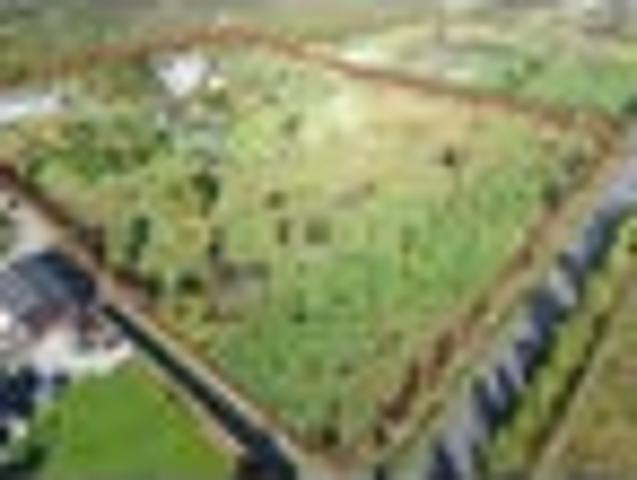 GRAND BY DESIGN