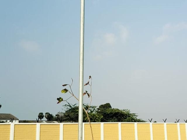 Grand City 1902 Sq.Ft. Plot in Panjappur Trichy Listing ID: #8771