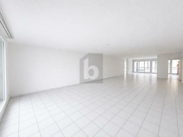 GRAND ESPACE EN PLEIN CENTRE