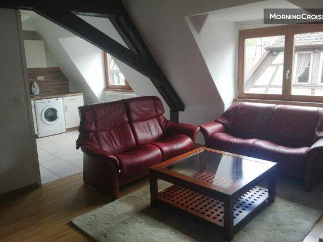Grand F2 meublé