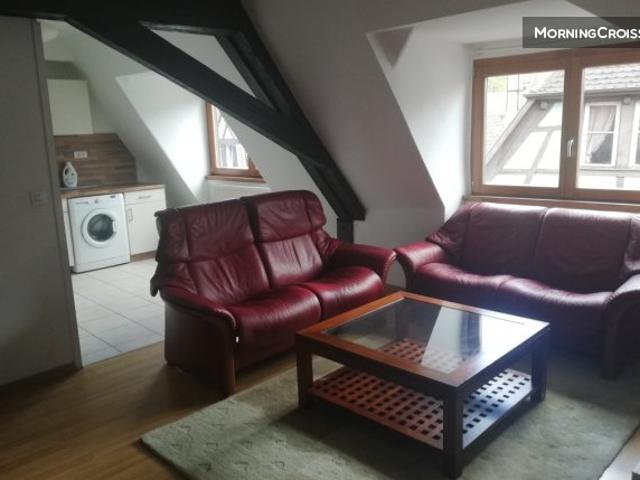Grand F2 meublé