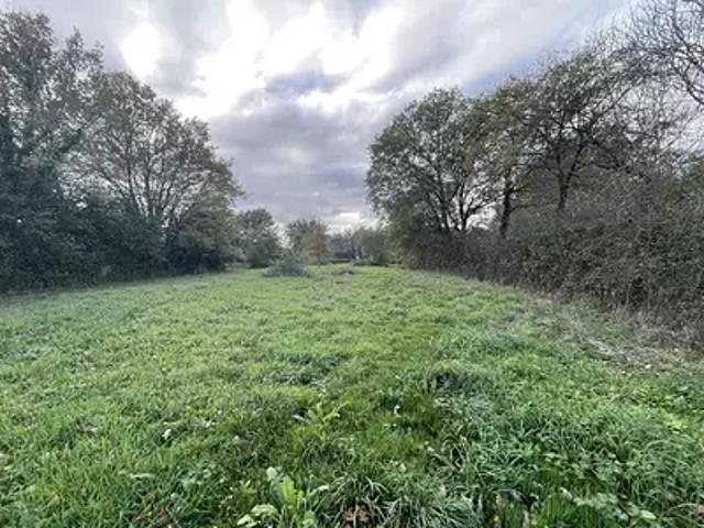 Grand Fougeray 35390 Achat / Vente terrain