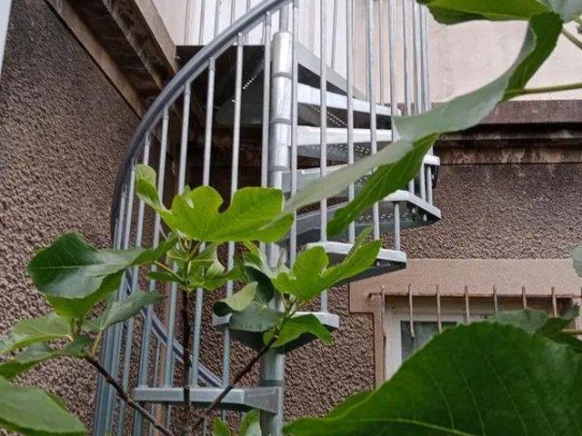 Grand studio duplex meublé 28m² proche Paris