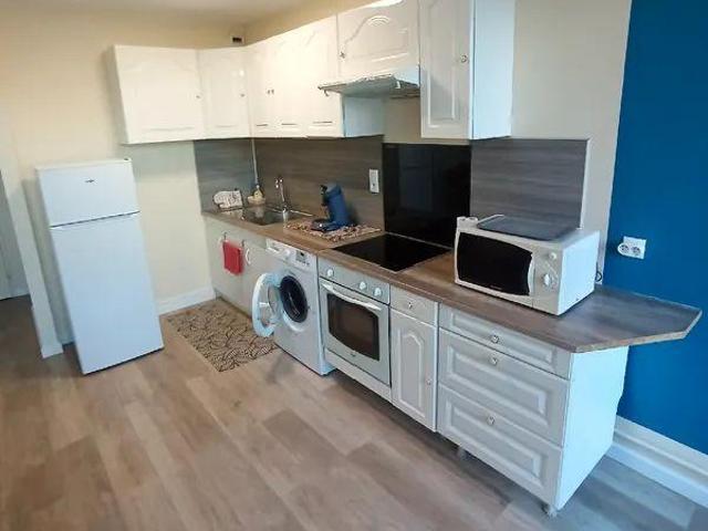 Grand studio meublé et rénové 40m² avec terrasse