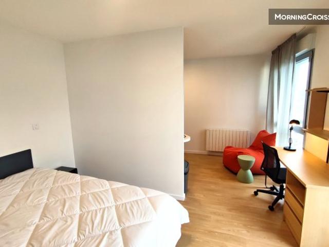 Grand studio neuf Centre ville